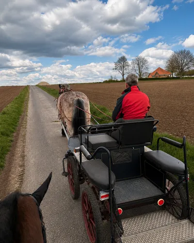 Kutsche mit Pferd auf dem Weg durch nordhessische Felder